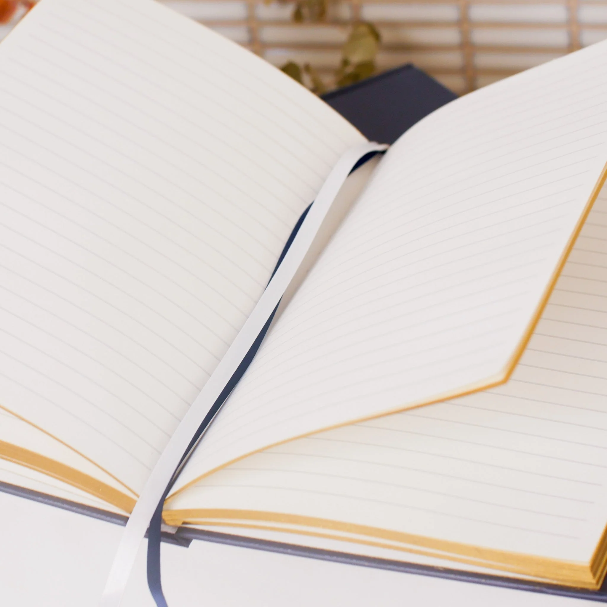 The Class Notebook - Image 4