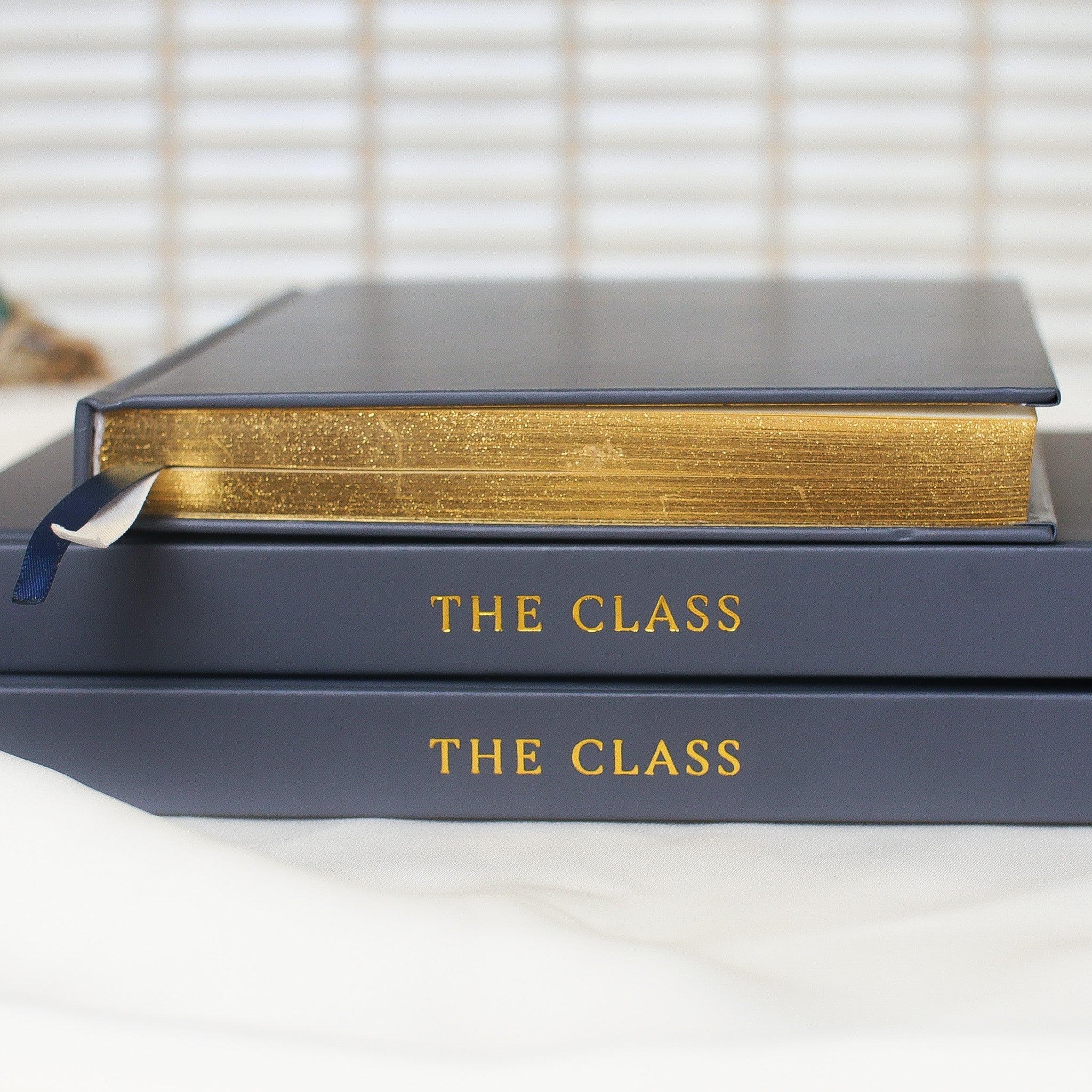 The Class Notebook - Image 5